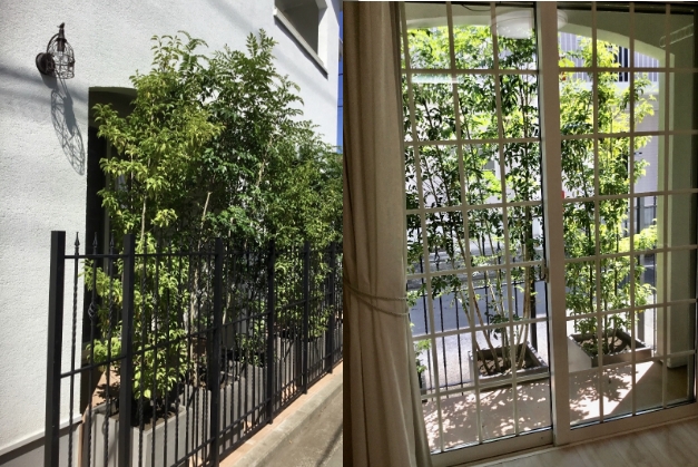 枯れ補償について